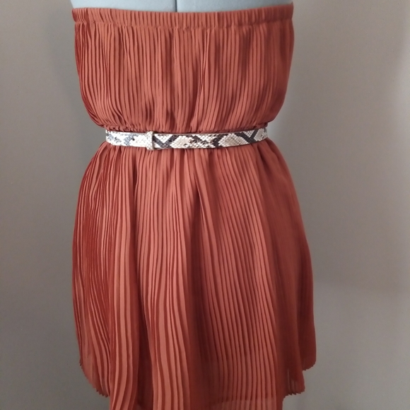 burnt orange dress(belt not in clued) - Picture 2 of 4